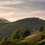 Langeck Münstertal